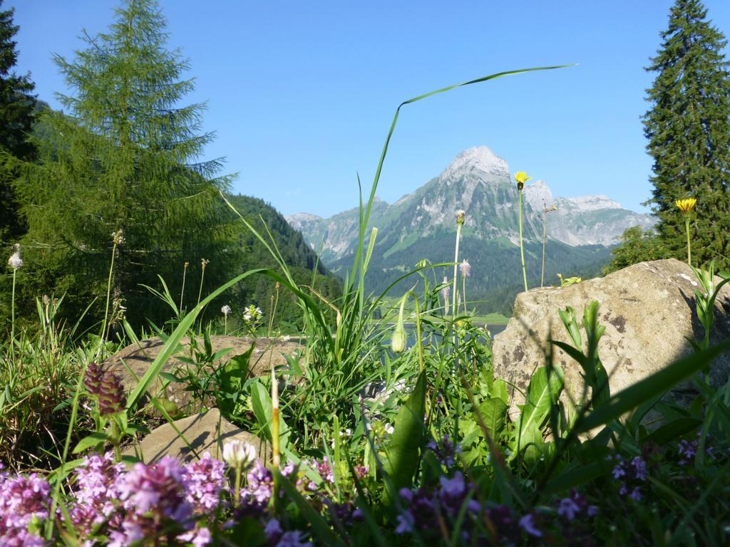 Berghotel Obersee Näfels Esterno foto