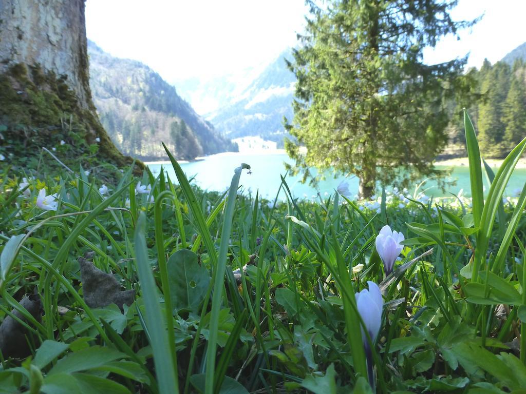 Berghotel Obersee Näfels Esterno foto