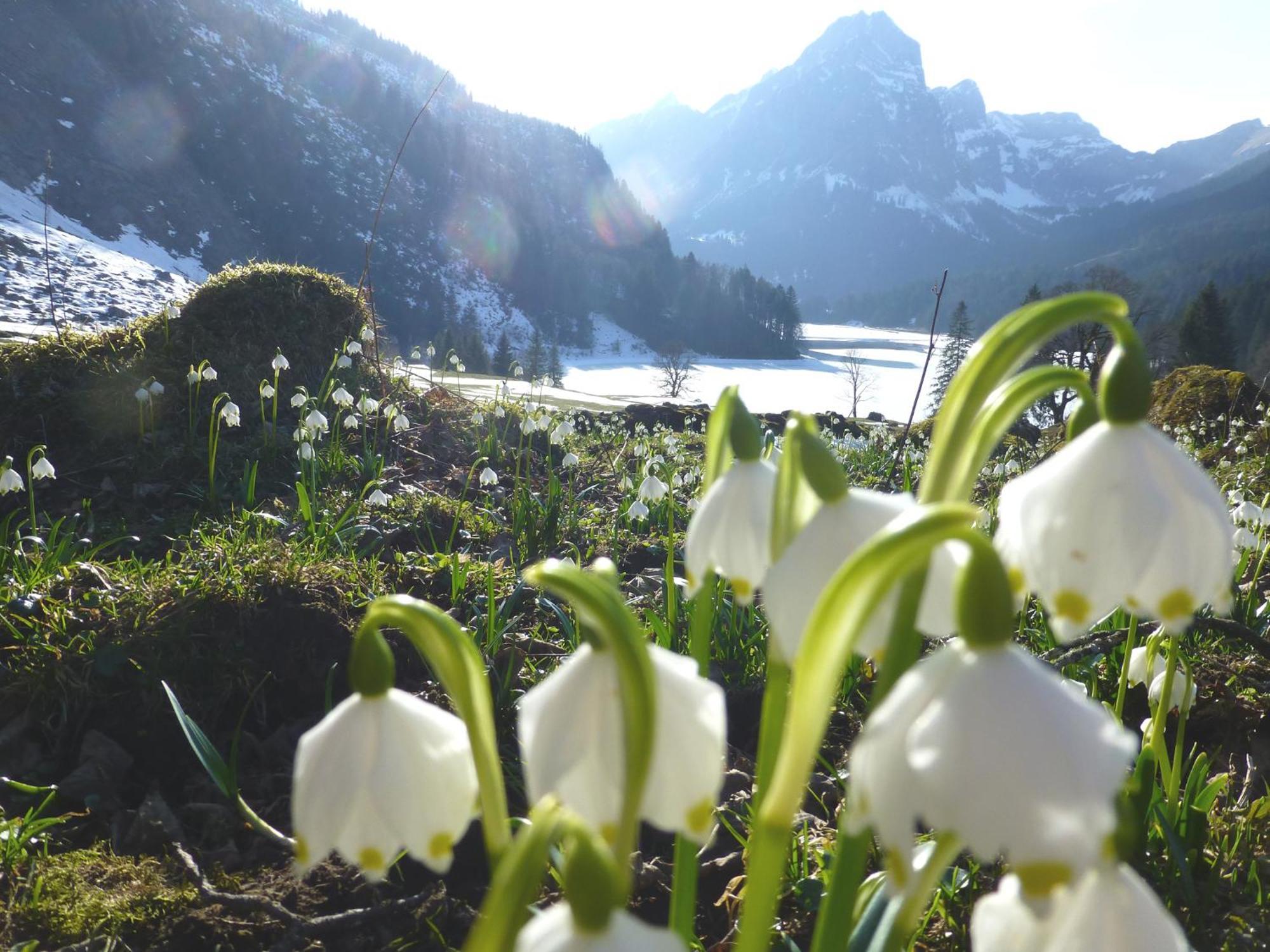 Berghotel Obersee Näfels Esterno foto