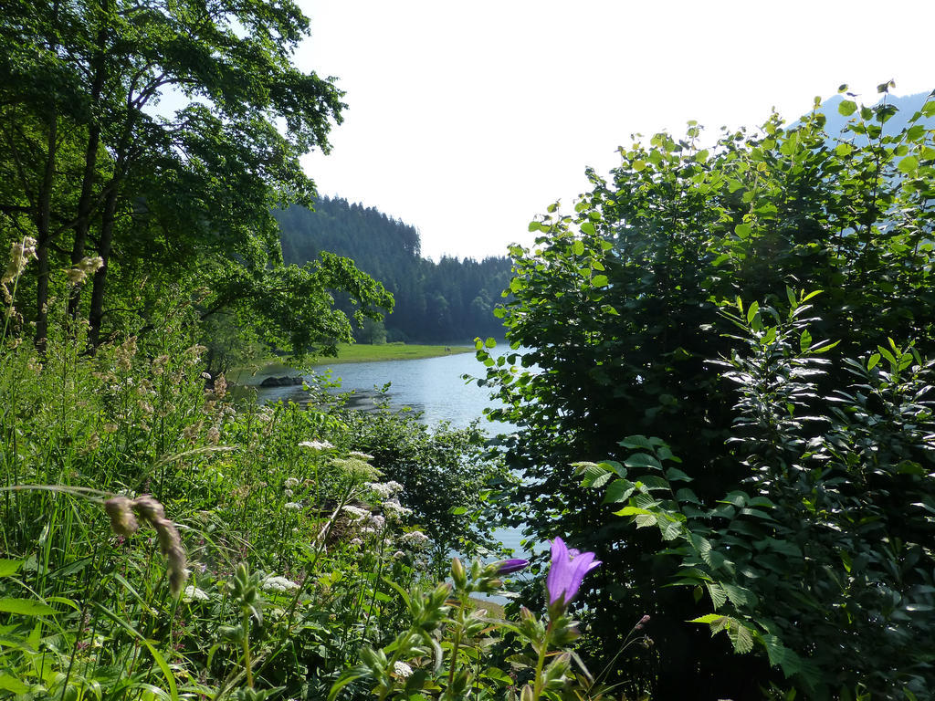 Berghotel Obersee Näfels Esterno foto